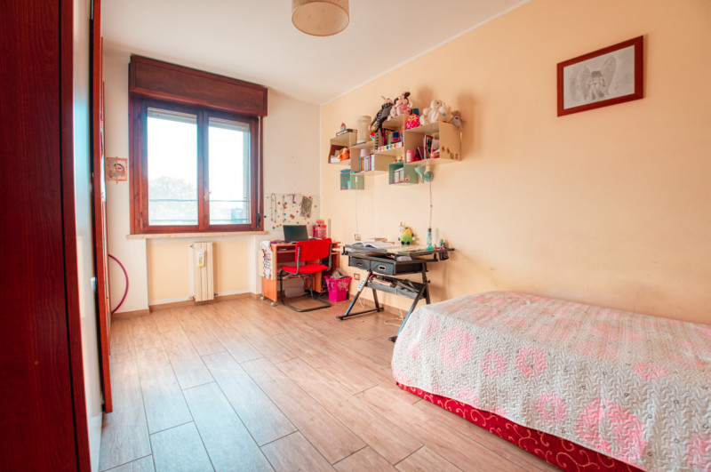 immagine annuncio 4 di 8