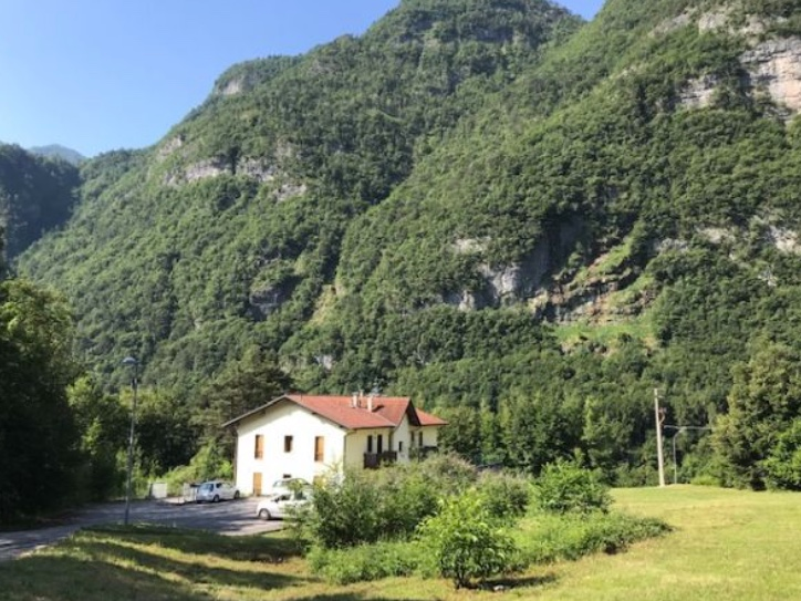 immagine annuncio 2 di 4