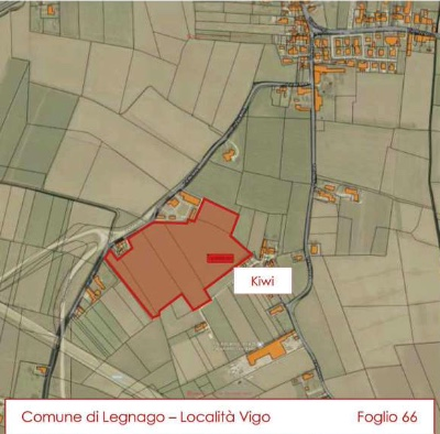 immagine annuncio 1 di 3
