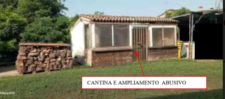 immagine annuncio 2 di 7