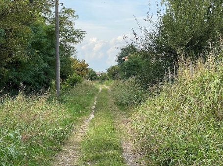 immagine annuncio 1 di 8