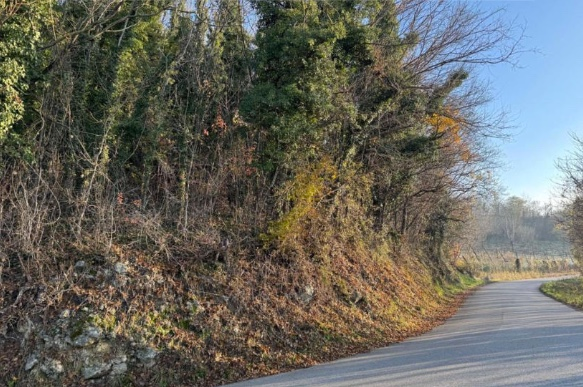 immagine annuncio 8 di 9