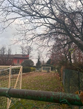 immagine annuncio 3 di 8
