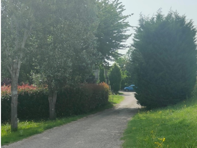immagine annuncio 5 di 7