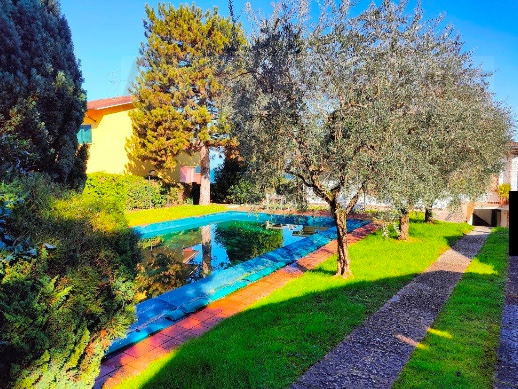 immagine annuncio 5 di 10