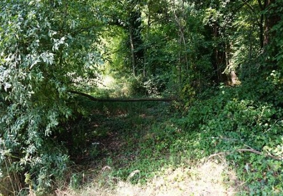 immagine annuncio 3 di 9