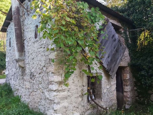 immagine annuncio 3 di 10