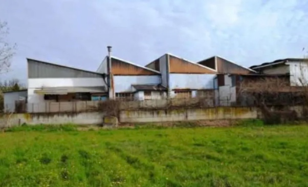 immagine annuncio 3 di 10
