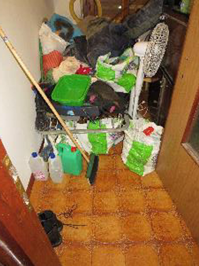 immagine annuncio 7 di 10