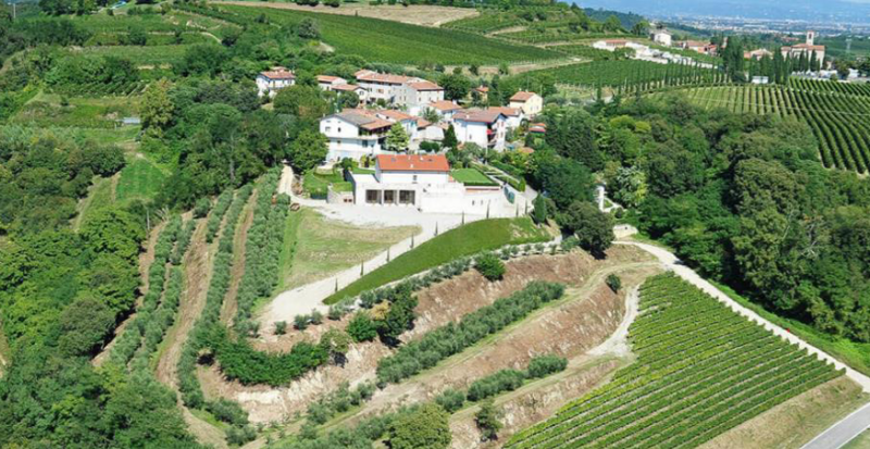 immagine annuncio 2 di 10