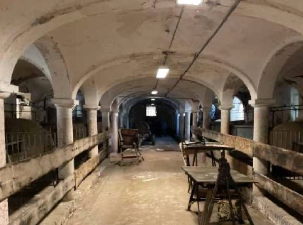 immagine annuncio 3 di 10