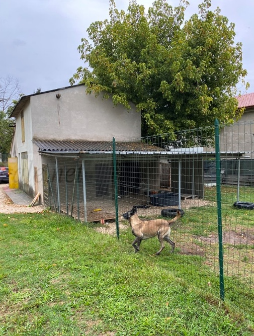 immagine annuncio 8 di 10