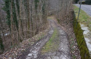 immagine annuncio 5 di 8