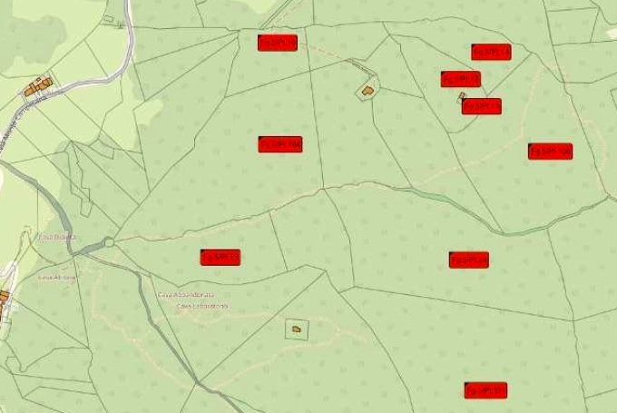 immagine annuncio 1 di 4