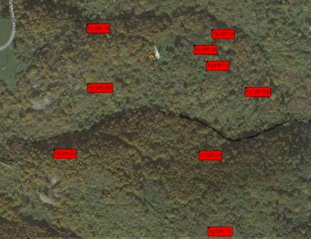 immagine annuncio 3 di 4