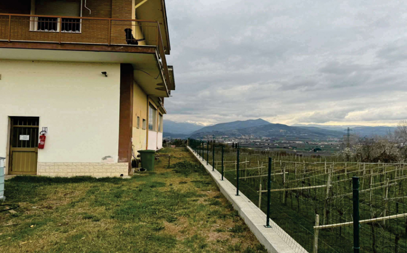 immagine annuncio 8 di 10