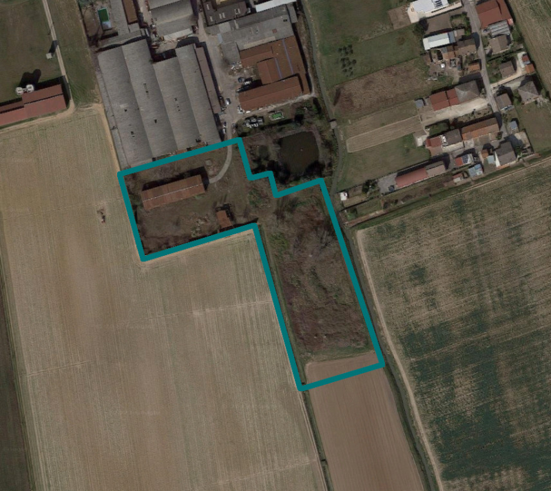 immagine annuncio 1 di 10