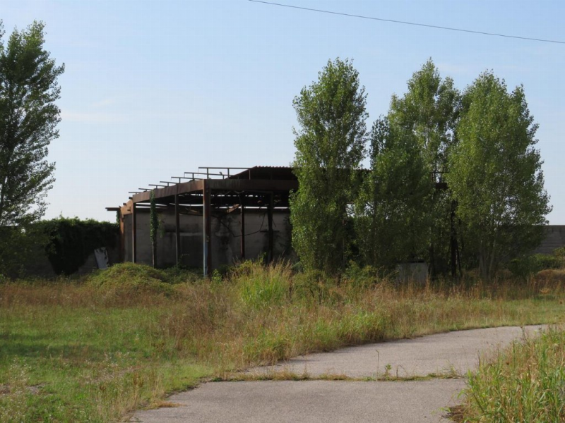 immagine annuncio 8 di 10