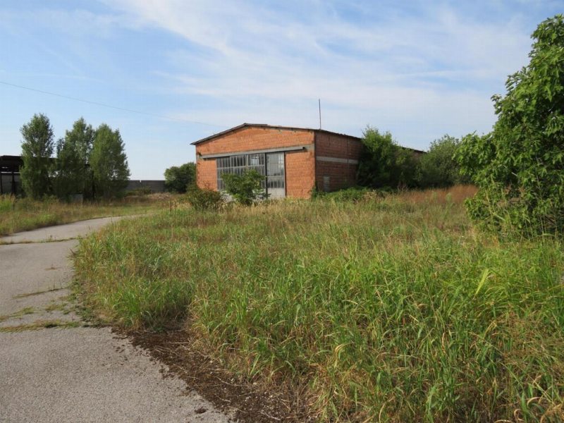 immagine annuncio 9 di 10