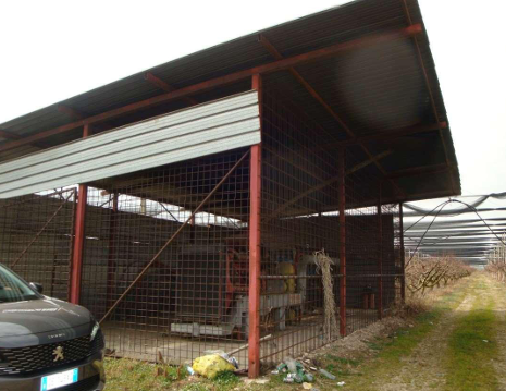 immagine annuncio 4 di 10