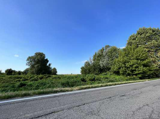 immagine annuncio 7 di 9