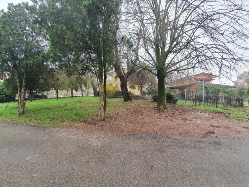 immagine annuncio 1 di 3