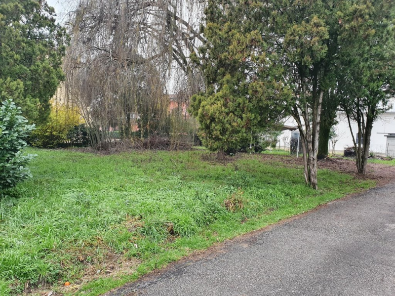 immagine annuncio 2 di 3