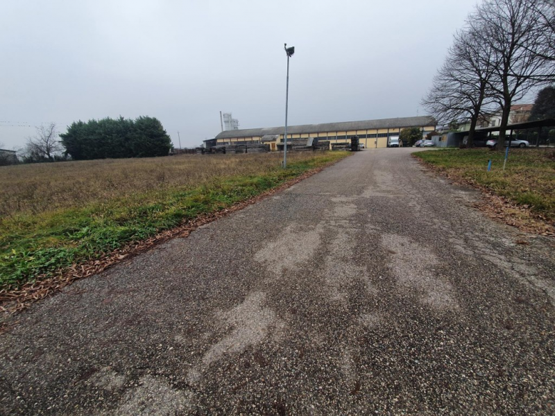 immagine annuncio 5 di 6