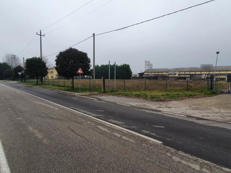 immagine annuncio 3 di 6