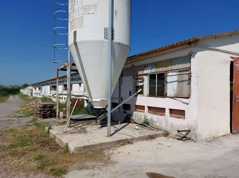 immagine annuncio 4 di 6
