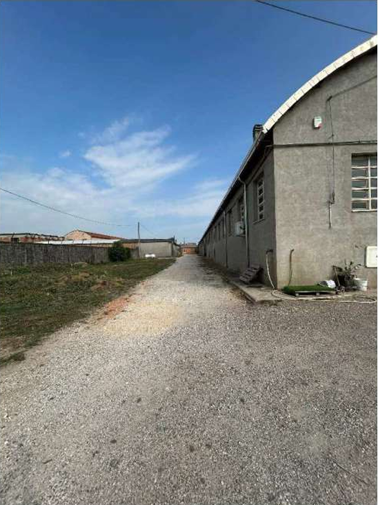 immagine annuncio 2 di 10