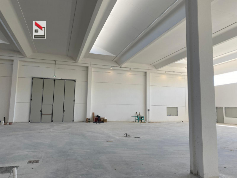 immagine annuncio 1 di 6