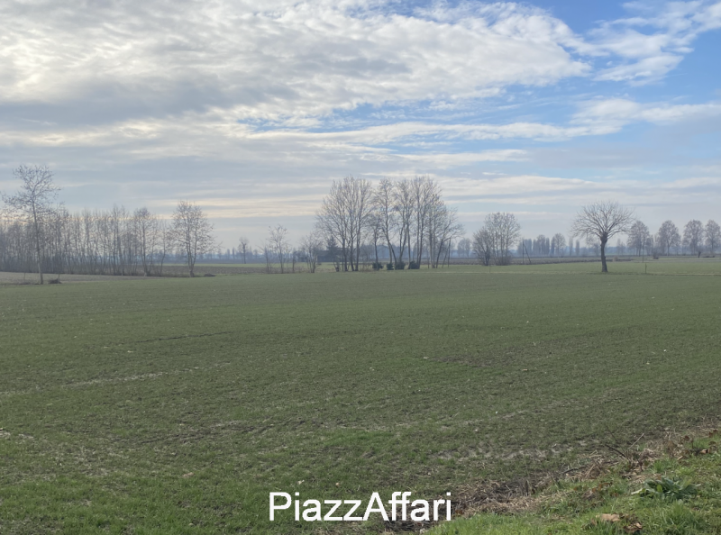 immagine annuncio 3 di 7