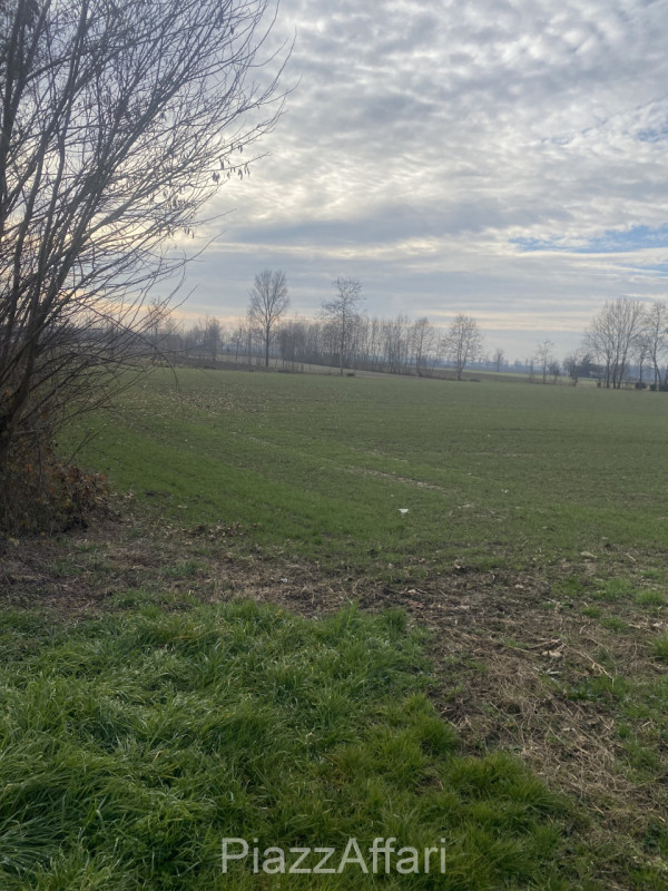 immagine annuncio 1 di 7