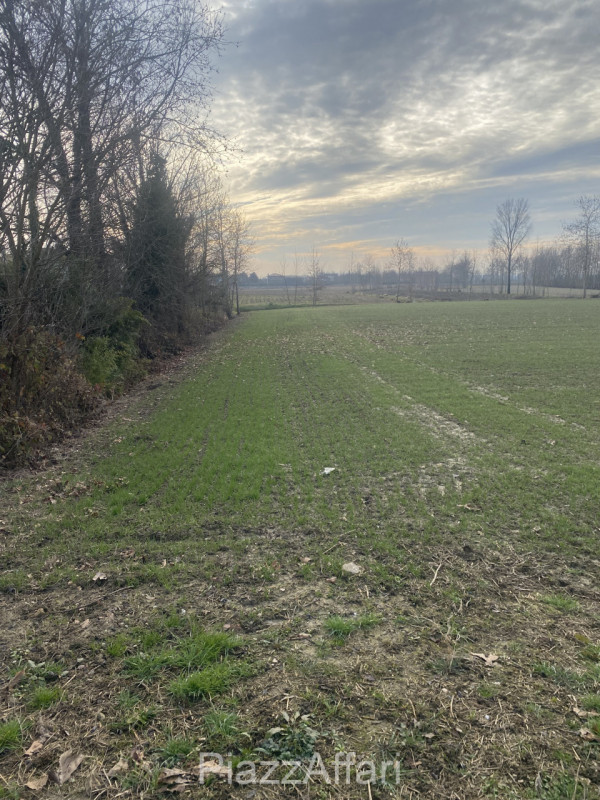 immagine annuncio 4 di 7