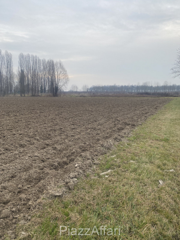 immagine annuncio 2 di 6