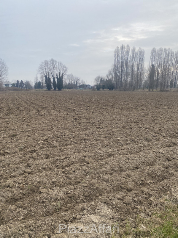 immagine annuncio 3 di 6