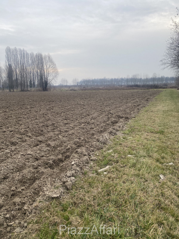 immagine annuncio 5 di 6