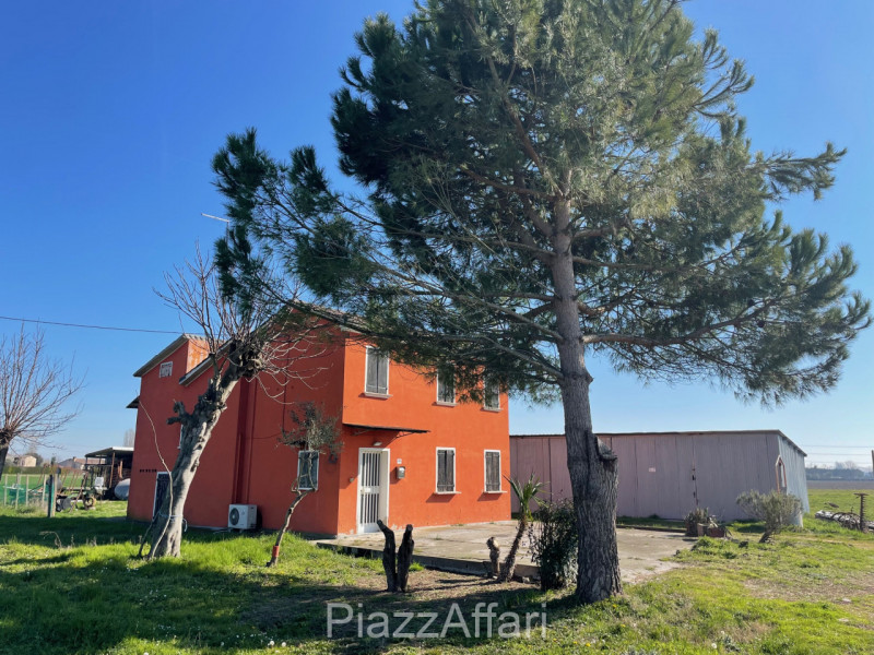 immagine annuncio 4 di 10