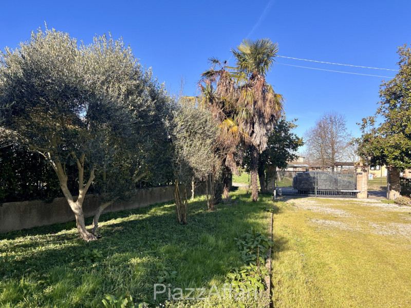 immagine annuncio 4 di 8