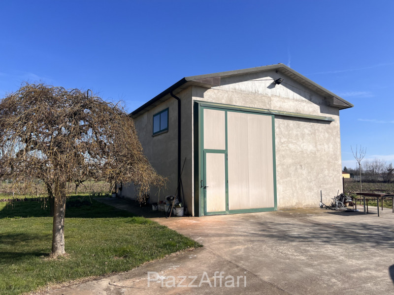 immagine annuncio 9 di 10