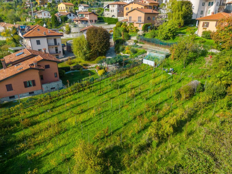immagine annuncio 4 di 8