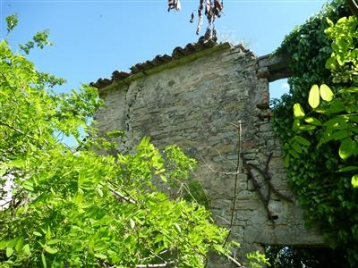 immagine annuncio 2 di 8