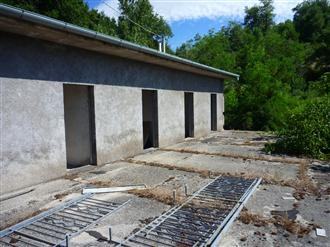 immagine annuncio 5 di 6