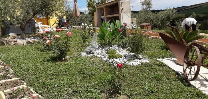 immagine annuncio 1 di 4