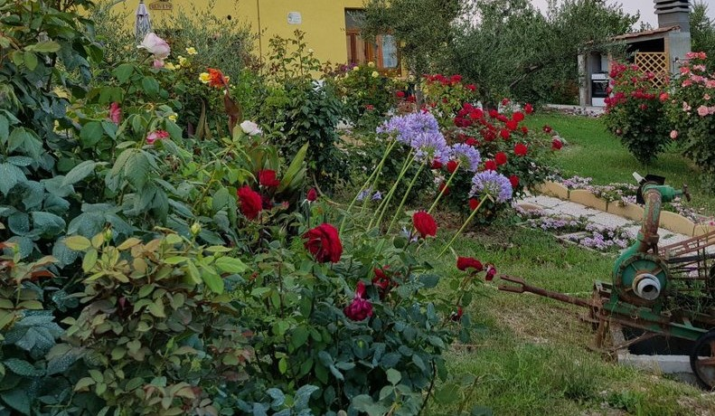 immagine annuncio 3 di 4