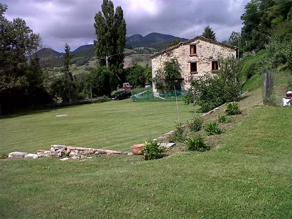 immagine annuncio 7 di 8