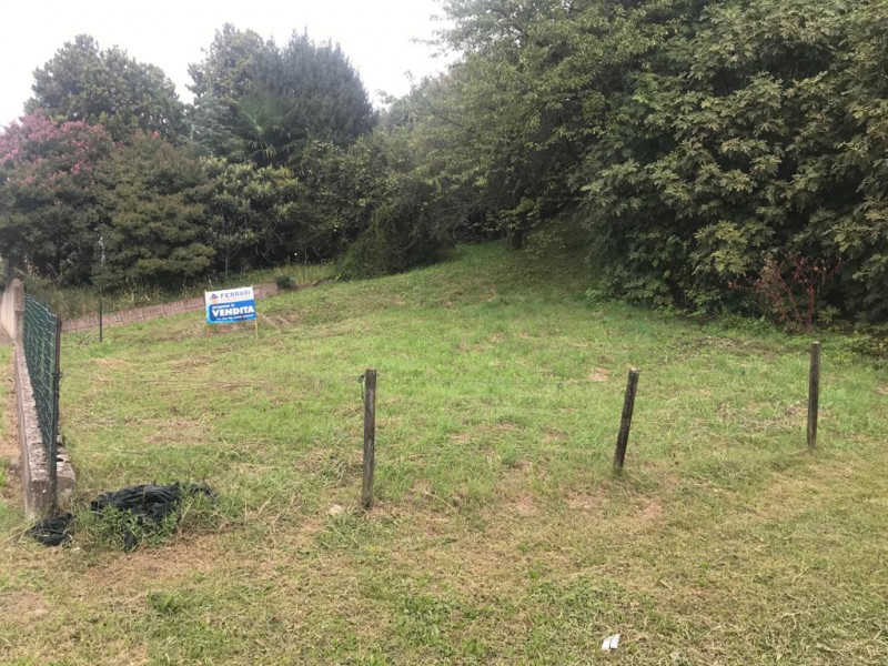 immagine annuncio 1 di 2