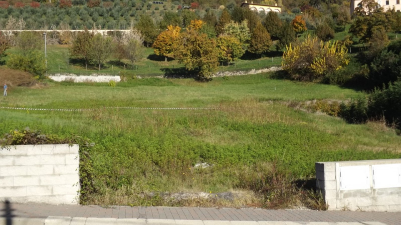 immagine annuncio 3 di 7