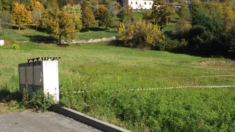 immagine annuncio 4 di 7